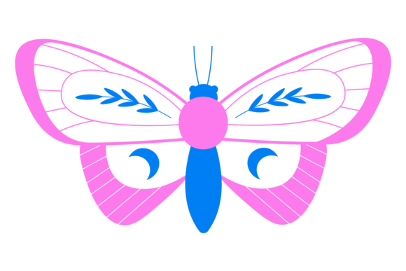Decorative Butterfly. Cute Night Moth Co: A Playful Serif with a Twist