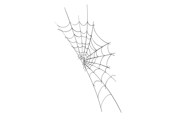 Decorative Spider Web. Arachnid Net Blac: A Bold Icon for Striking Design